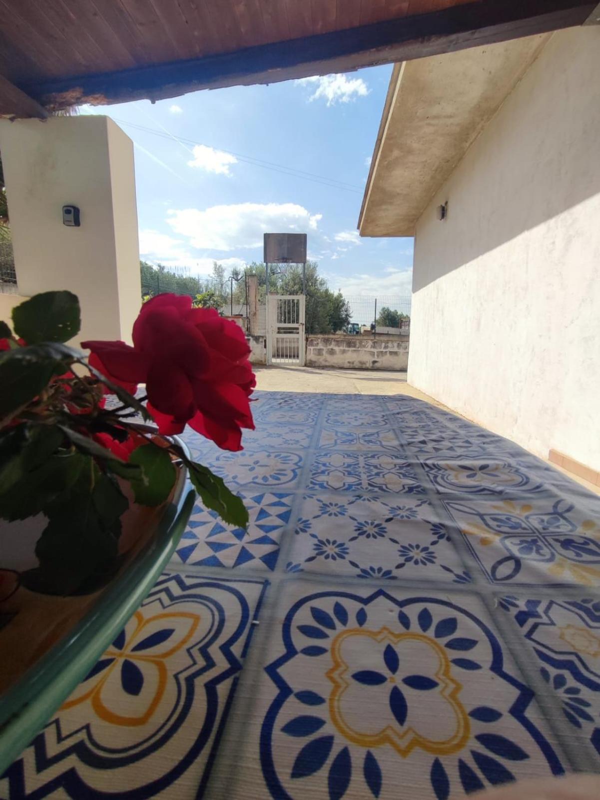 Balestrate Holiday Home 70 Mq Экстерьер фото